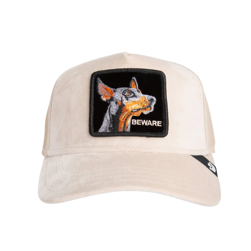 Gorra Velour Doberman Goorin Bros. Ref: 101-2349 - 2